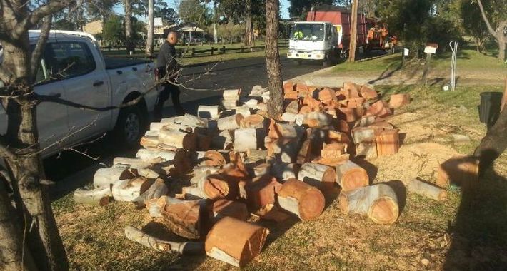 At Your Tree Service Logo