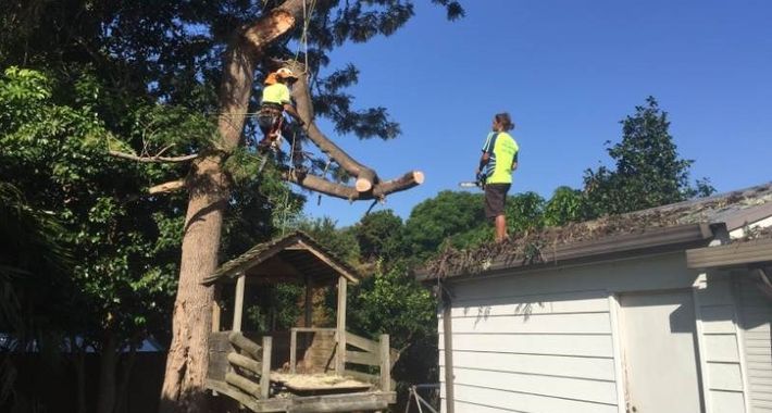 At Your Tree Service Logo