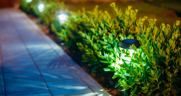 AMF GARDENING AND MAINTENANCE Logo