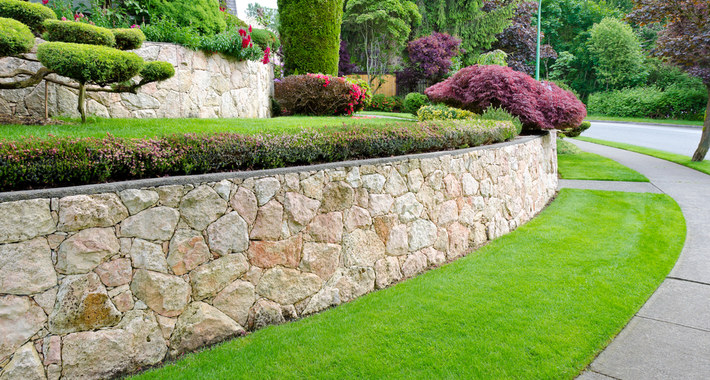 AMF GARDENING AND MAINTENANCE Logo