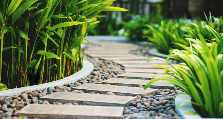 AMF GARDENING AND MAINTENANCE Logo