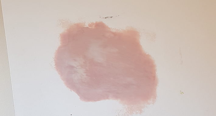 Brush & Decor Signature Pty Ltd Logo