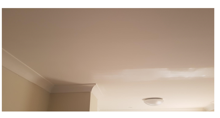 Brush & Decor Signature Pty Ltd Logo