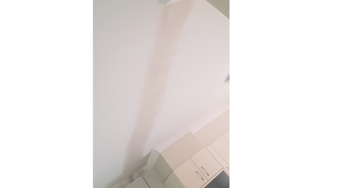 Brush & Decor Signature Pty Ltd Logo