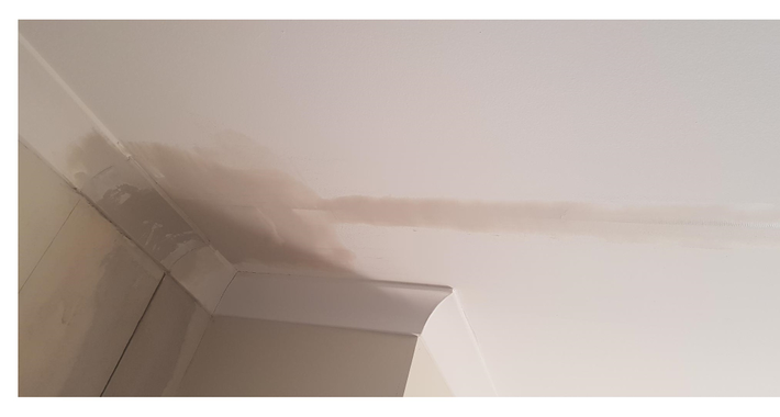 Brush & Decor Signature Pty Ltd Logo