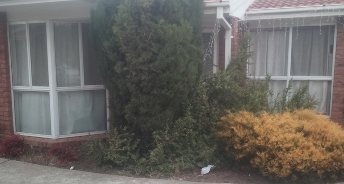 AMF GARDENING AND MAINTENANCE Logo