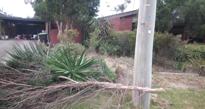 AMF GARDENING AND MAINTENANCE Logo
