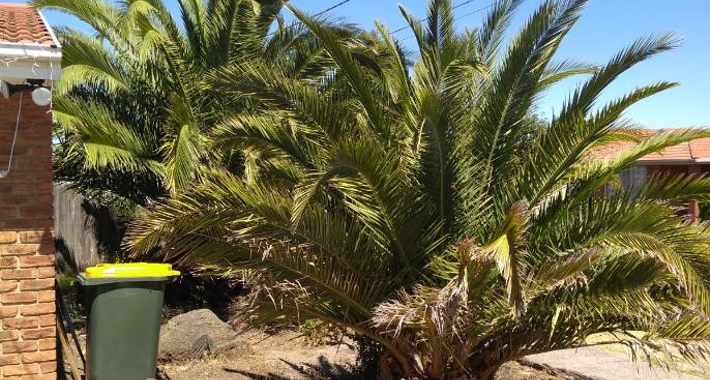 AMF GARDENING AND MAINTENANCE Logo