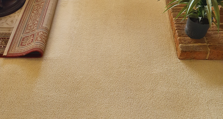 Choice Cleaning Services Logo