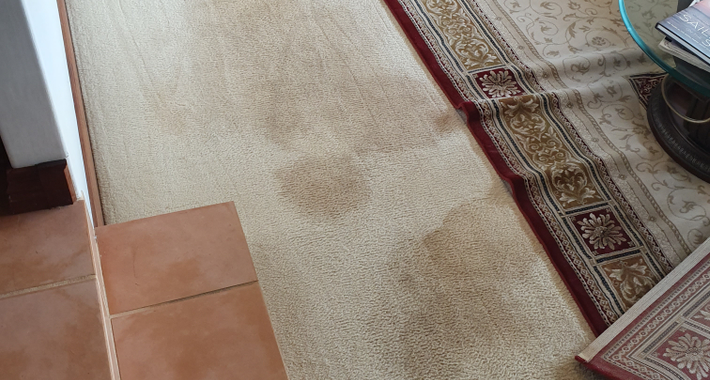 Choice Cleaning Services Logo