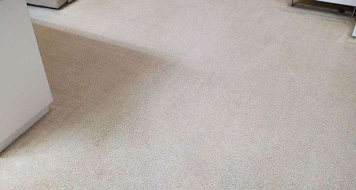 Choice Cleaning Services Logo