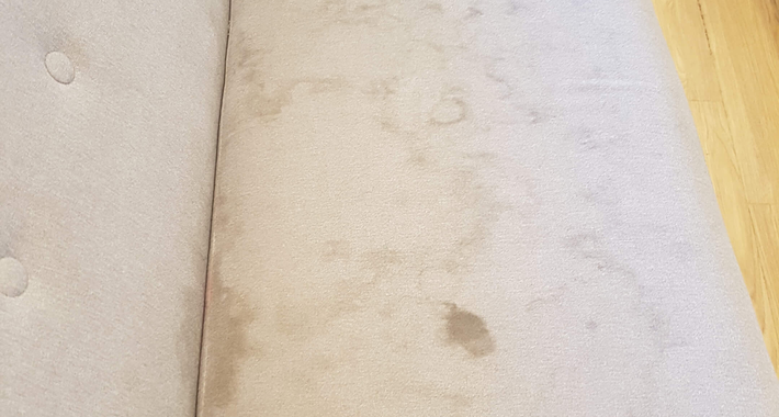 Choice Cleaning Services Logo