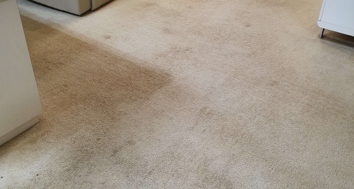 Choice Cleaning Services Logo