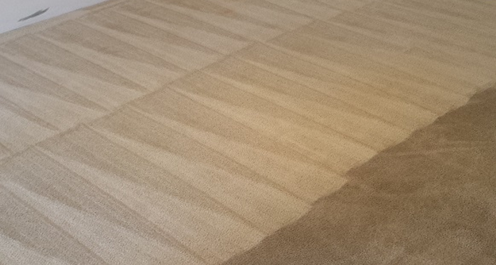 Choice Cleaning Services Logo