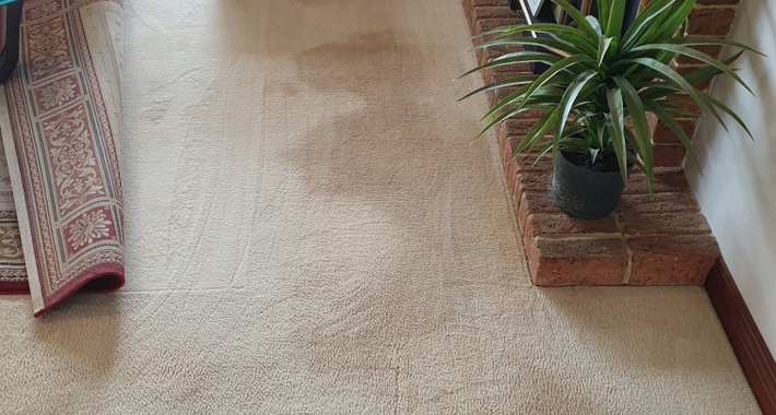 Choice Cleaning Services Logo