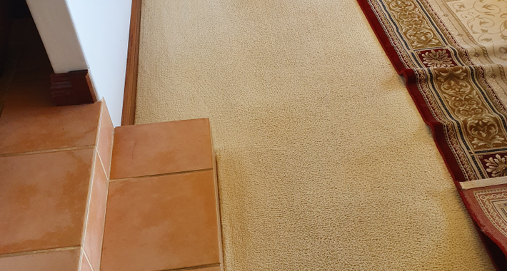 Choice Cleaning Services Logo