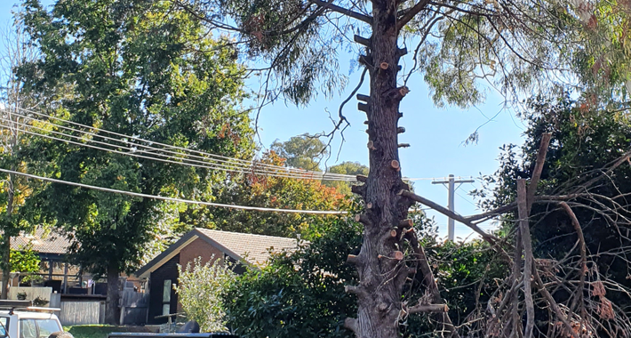 act home services