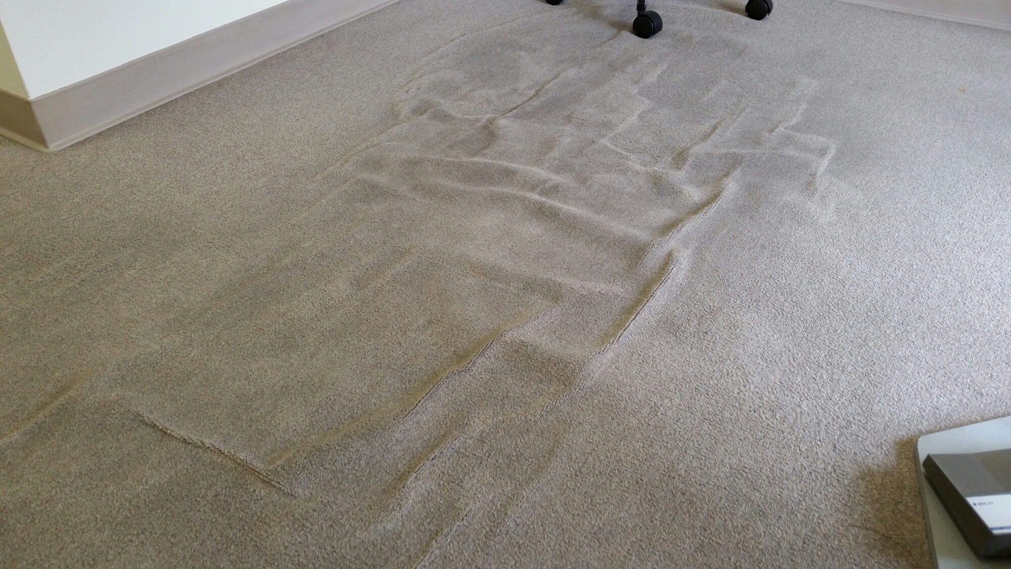 A Comprehensive Walk Through Carpet Rippling  Service.com.au