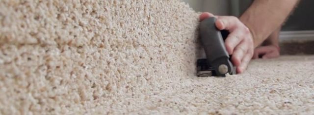 Different Types of Carpet: Advantages and Disadvantages