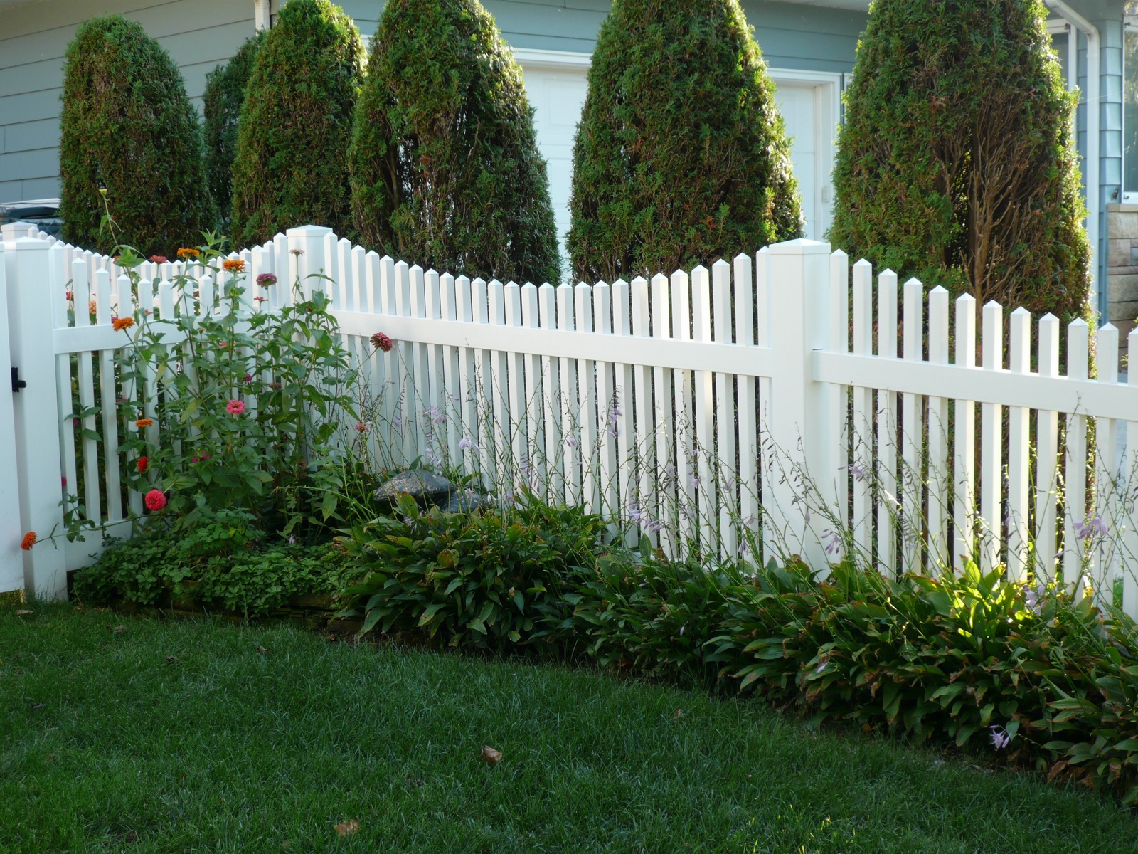 Different Types of Fencing to Pick From!
