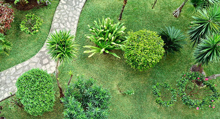 how-much-does-it-cost-to-hire-a-landscaper-service-au