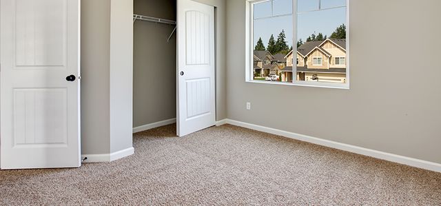 How Much Does Carpet Cleaning Cost? 2026 Cost Guide