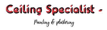 Ceiling Specialist - Painting & Plastering