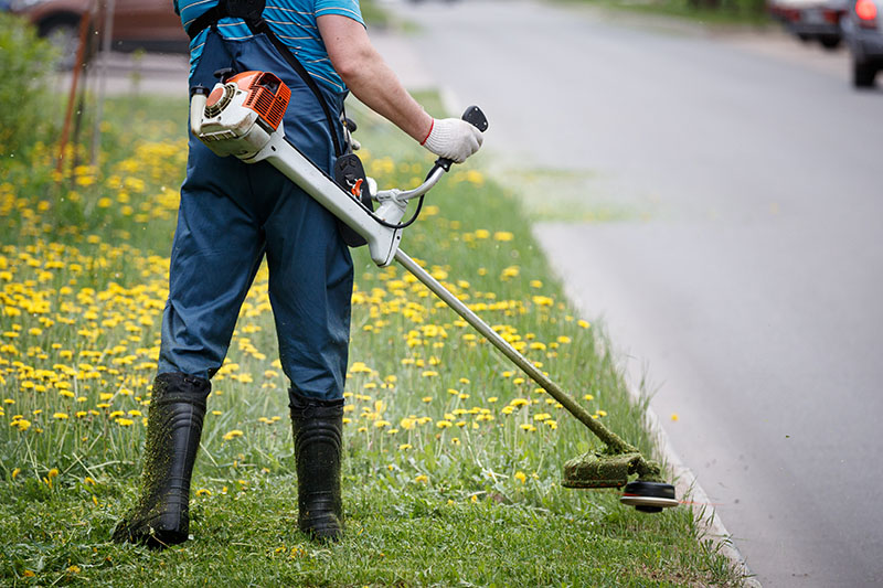 What tasks can a handyman do? | Service.com.au