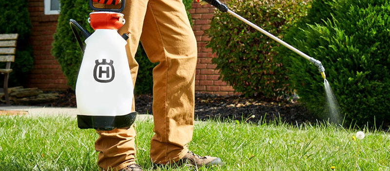 how-to-keep-pets-out-of-gardens-service-au