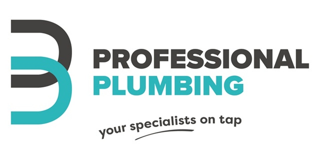 Professional Plumbing