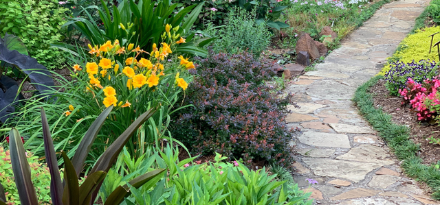 How Can I Landscape a Sloping Backyard?