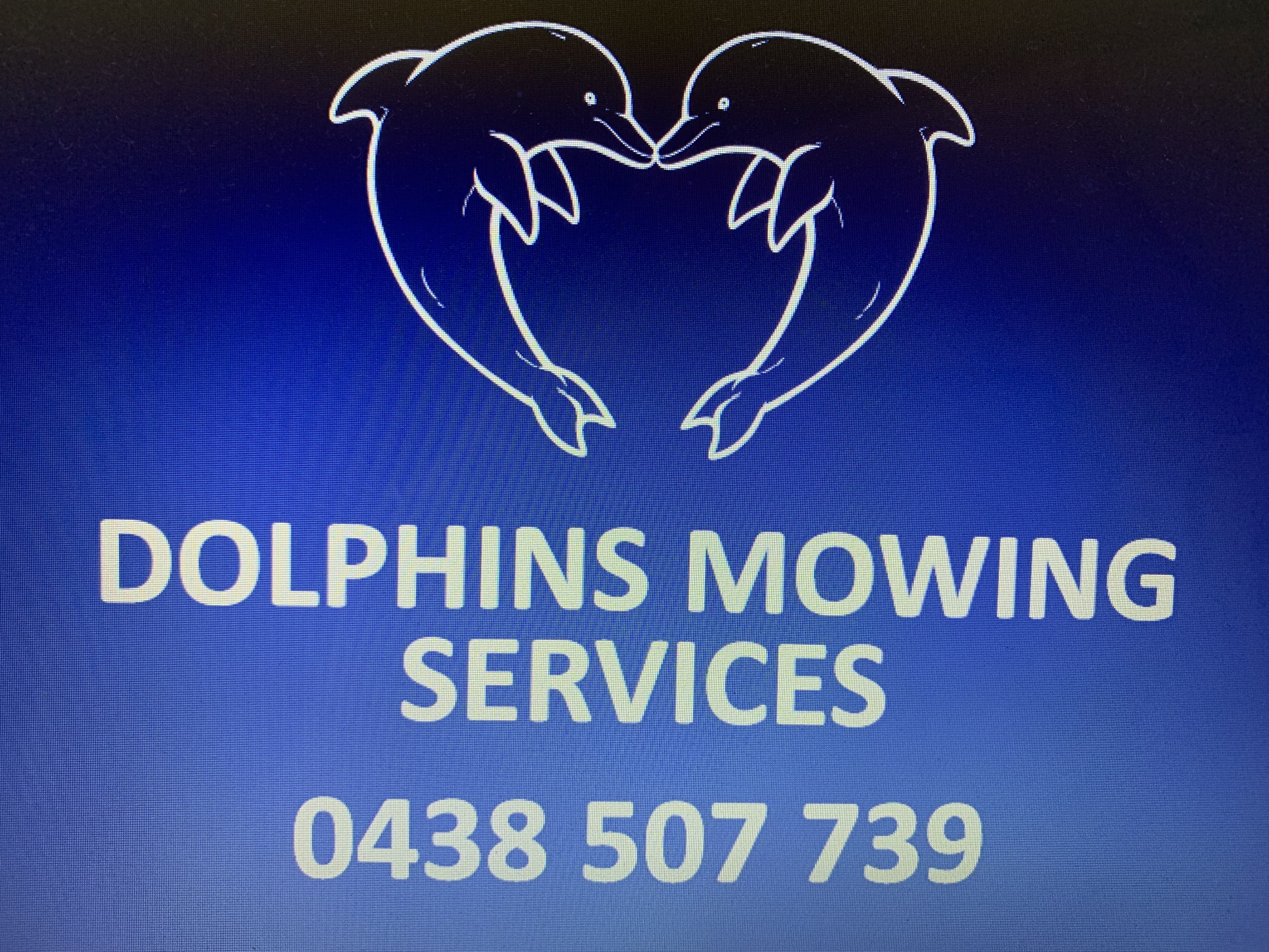 Dolphins Mowing Services