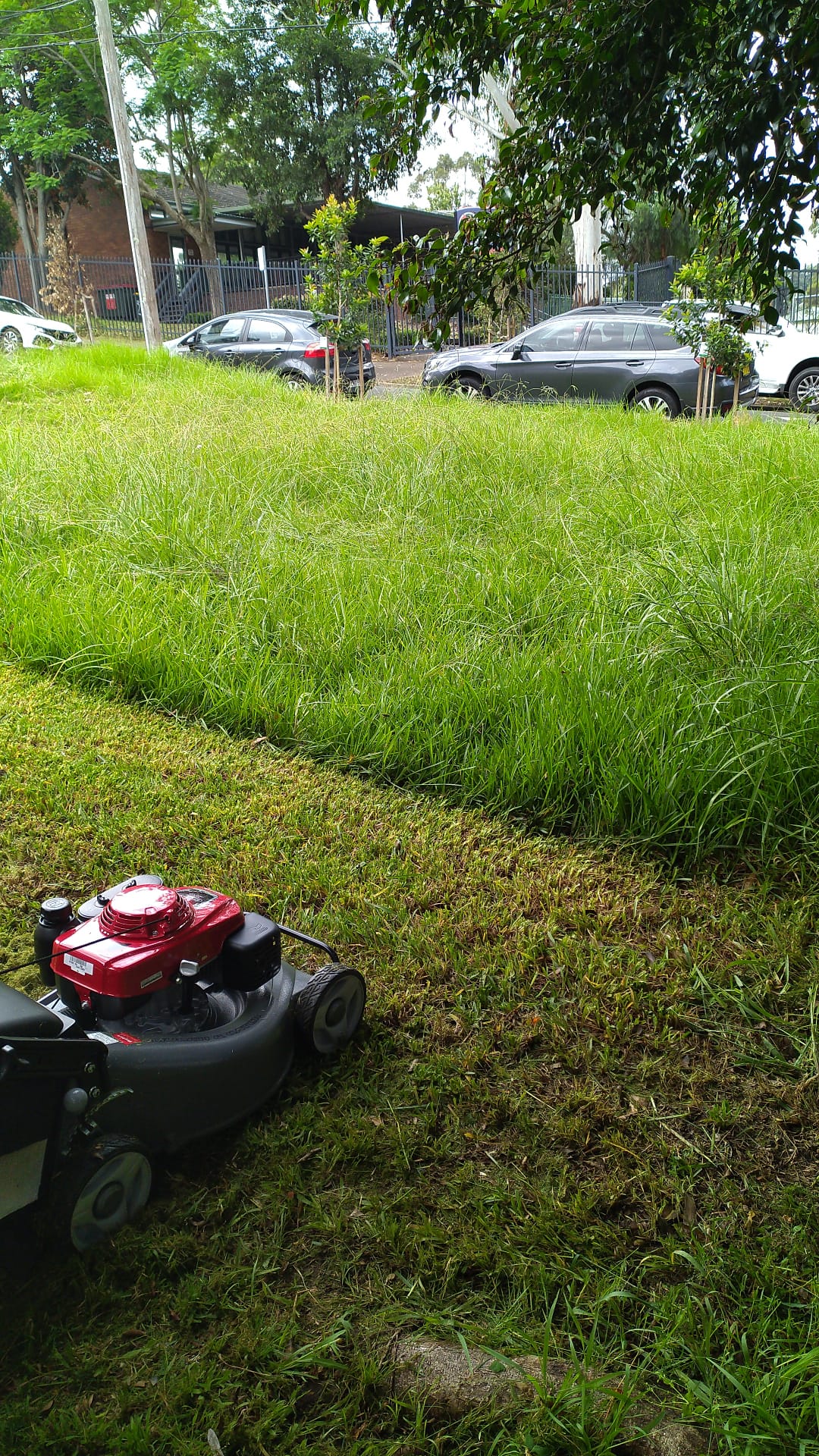 Malad's Mowing