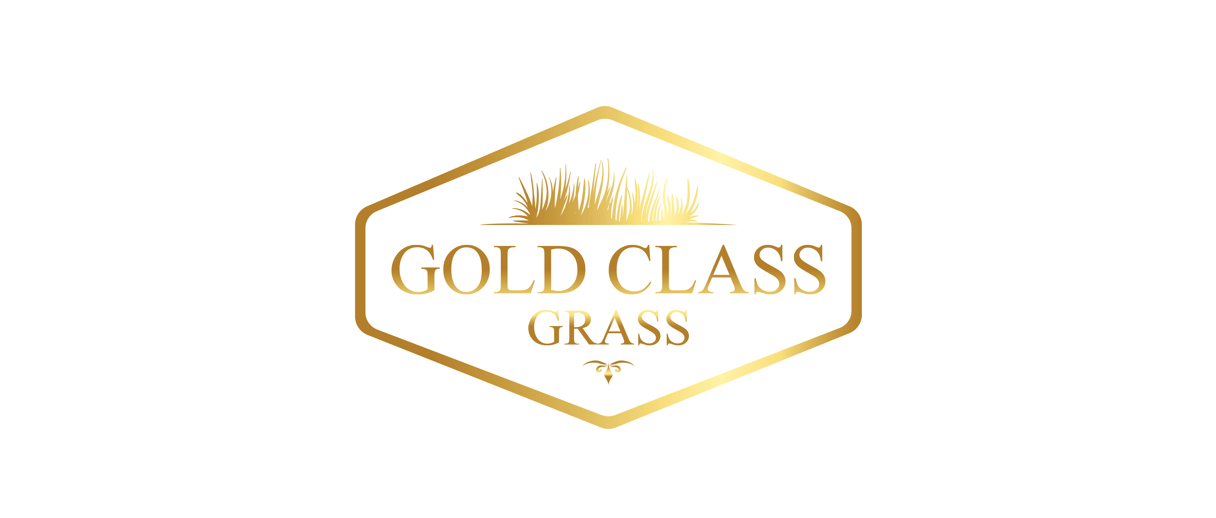 Gold Class Grass