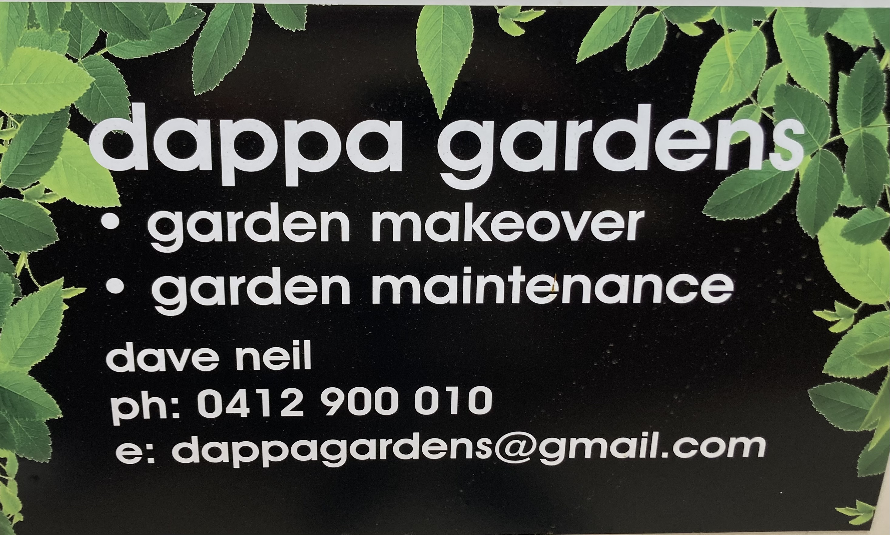 dappa gardens ~ dave neil