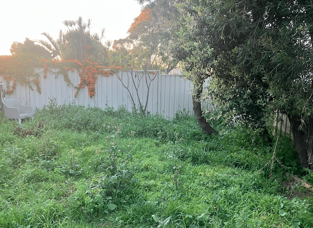 Adelaide Corporate Mowing & Gardening Services - Photo 3