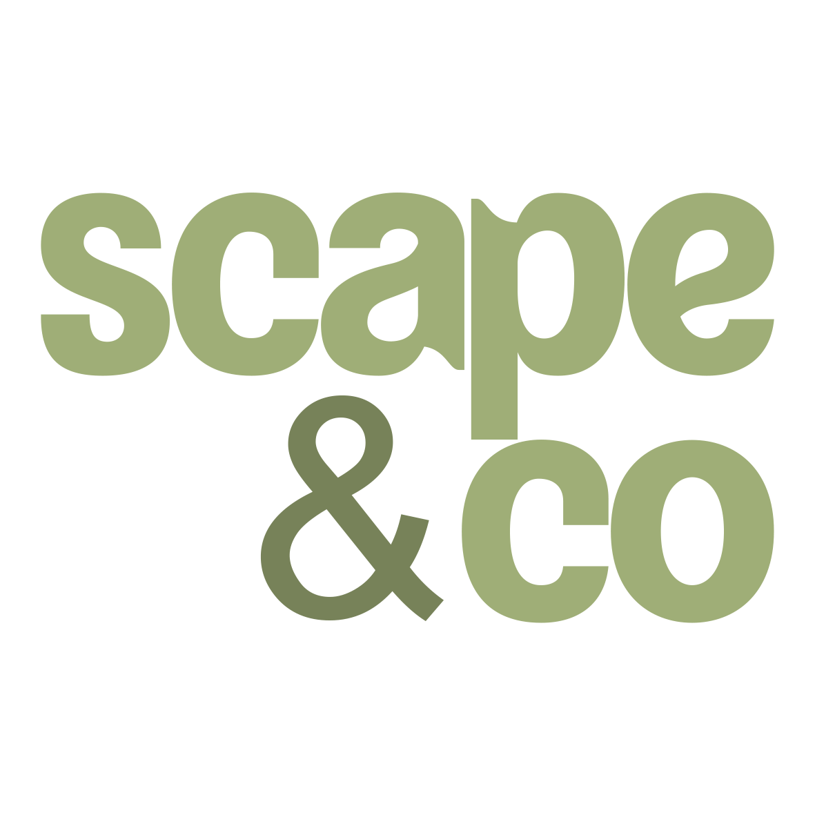 Scape & Co logo